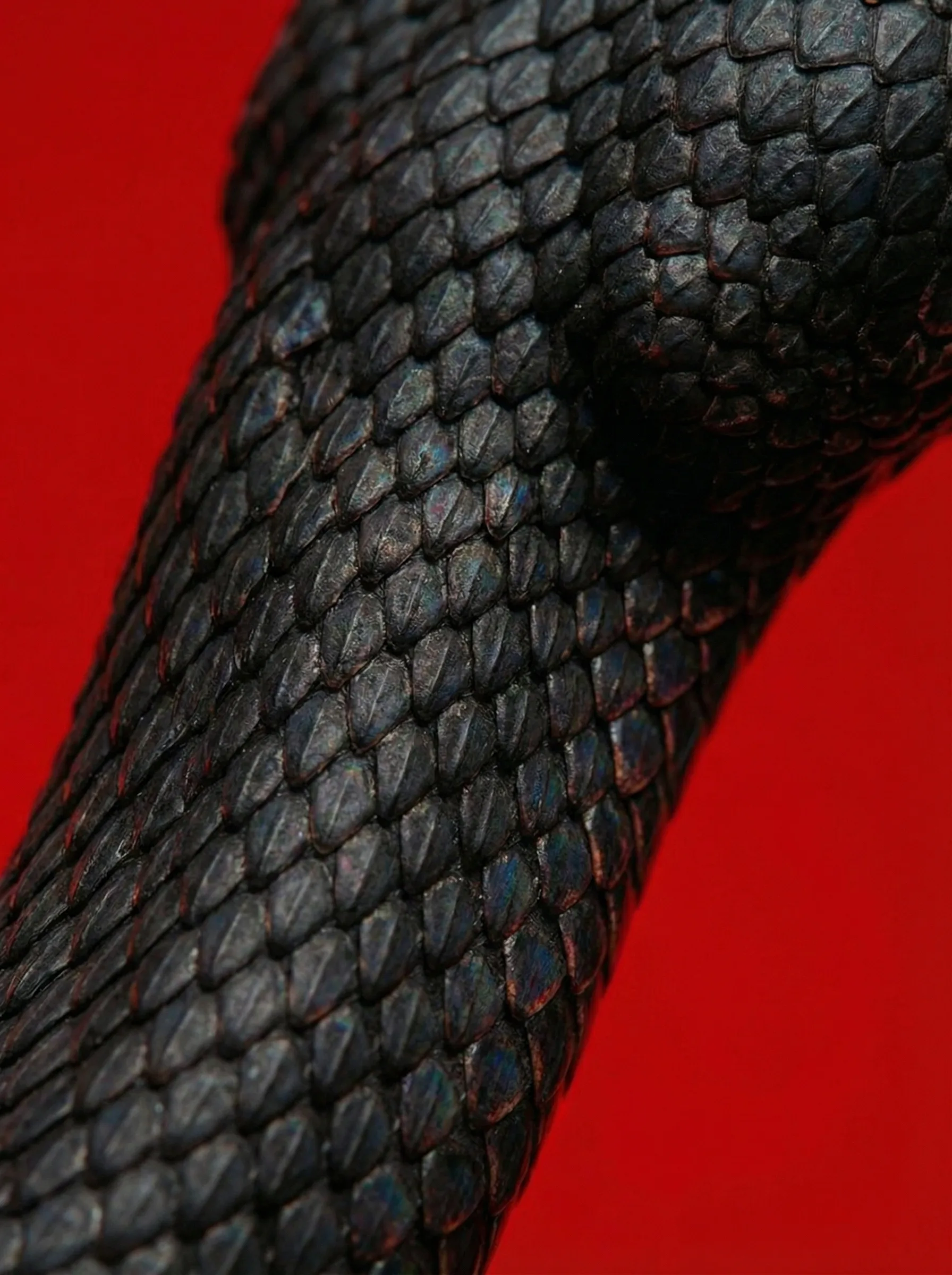 Post 5 Babolat Viper 3.0